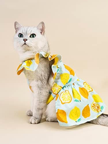 דפוס פרי חיות מחמד שמלת חיות מחמד שמלת כלב חתול עם טבעת רצועה מגניבה מחמד נושם בגדים חמודים לחתולי ילדה כלבים צהובים X-SMALL